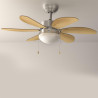 Cecotec Ventilateur de Plafond avec Lumière EnergySilence Aero 350 50 W, Basse Consommation, Diamètre 81 cm, 6 Pales Réversibles