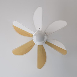Cecotec Ventilateur de Plafond avec Lumière EnergySilence Aero 350 50 W, Basse Consommation, Diamètre 81 cm, 6 Pales Réversibles