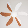 Cecotec Ventilateur de Plafond avec Lumière EnergySilence Aero 360. 50 W, Faible Consommation, Diamètre de 91 cm, 6 Pales Révers