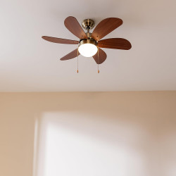 Cecotec - ventilateur de plafond avec lumière energysilence aero 365 or&wood - 50 w, diamètre 91 cm, 3 vitesses, 6 pales, ampoul
