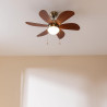 Cecotec - ventilateur de plafond avec lumière energysilence aero 365 or&wood - 50 w, diamètre 91 cm, 3 vitesses, 6 pales, ampoul