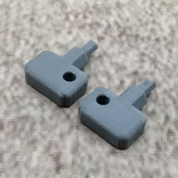 Lot de 2 clés de rechange, grises, compatibles avec Synology NAS Drive Bay Key Lock pour type D5 D6 D8 D9 R6 X9 R8 DS181 (gris)
