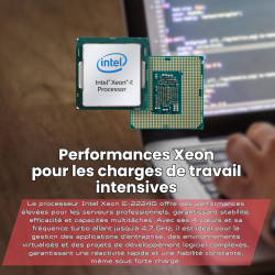 Lenovo ThinkSystem ST50 Serveur - Intel Xeon E-2224G CPU, 16 Go ECC RAM, SSD 2 × 1 to, Win Server 2025 Standard (Reconditionné)
