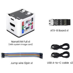 Sipeed NanoKVM Lot de 9 Mini serveurs d'exploitation et de Maintenance à Distance avec processeur 1TOPS NPU 1 GHz C906 RISC-V, P