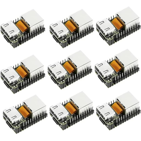 Sipeed NanoKVM Lite Lot de 9 mini serveurs d'exploitation et de maintenance à distance avec processeur 1TOPS NPU 1 GHz C906 RISC