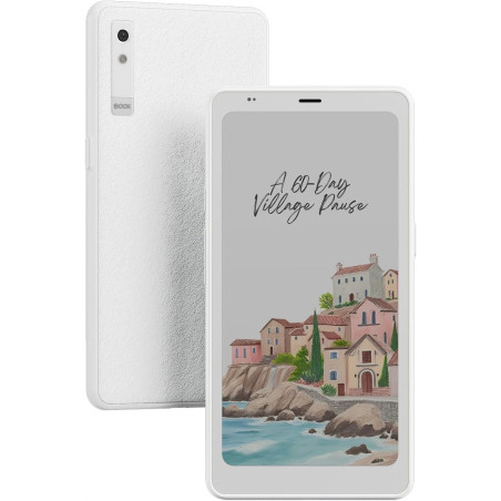 BOOX ePaper Liseuse Palma 2 Pro 6,13" 128 Go Android 15 E-Ink 300 PPP (Blanc)