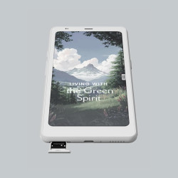 BOOX ePaper Liseuse Palma 2 Pro 6,13" 128 Go Android 15 E-Ink 300 PPP (Blanc)