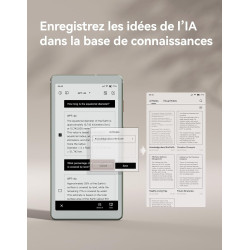 VIWOODS 6,13’’ Carta 1300 AiPaper Reader avec connectivité 4G, liseuse E Ink Ultra-Fine et légère, intégration IA, 300 PPI, lumi
