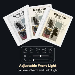 Bigme 7 inch Color Eink Tablet eBook Reader 4G 64G Digital Notepad