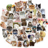 Tixlux 100PCS Autocollants Chats Mignons, Stickers Chats Meme, Décalques Amusants en Vinyle Imperméable, Cadeaux pour Scrapbooki