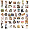 Tixlux 100PCS Autocollants Chats Mignons, Stickers Chats Meme, Décalques Amusants en Vinyle Imperméable, Cadeaux pour Scrapbooki