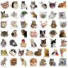 Tixlux 100PCS Autocollants Chats Mignons, Stickers Chats Meme, Décalques Amusants en Vinyle Imperméable, Cadeaux pour Scrapbooki
