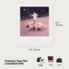 Polaroid Film Couleur pour i-Type