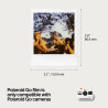 Polaroid Film Couleur pour i-Type - Double Pack