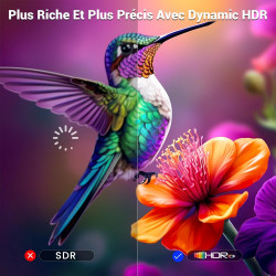 Etseinri Câble HDMI 2.1 7.5M, Certifié 48Gbps Câble HDMI® Ultra Haute Vitesse 4K 240Hz 165Hz 120Hz 8K 60Hz 10K Cordon HDMI HDCP 