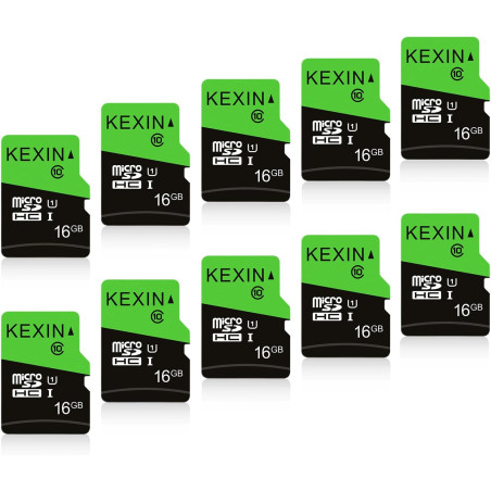 KEXIN Cartes Micro SD 16Go Lot de 10 Carte Micro 16 Go UHS-I U1 C10 10 Pièces MicroSD Carte TF pour Appareil Photo de Sport, Cam