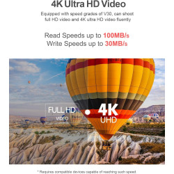 Netac 256 Go SDXC Carte Mémoire Micro SD pour Switch, Appareil Photo, Smartphone, PS Vita, PS4 Pro, Go Pro (UHS-1 A1 V30 U3 C10 