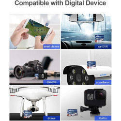 Netac 256 Go SDXC Carte Mémoire Micro SD pour Switch, Appareil Photo, Smartphone, PS Vita, PS4 Pro, Go Pro (UHS-1 A1 V30 U3 C10 
