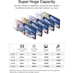 Netac 256 Go SDXC Carte Mémoire Micro SD pour Switch, Appareil Photo, Smartphone, PS Vita, PS4 Pro, Go Pro (UHS-1 A1 V30 U3 C10 