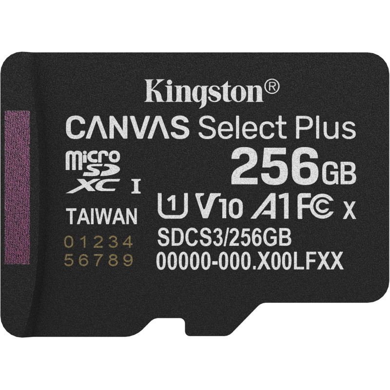 Kingston Canvas Select Plus Carte mémoire microSD 256GB micSDXC Gen3 150R A1 Adaptateur SD Non Inclus - SDCS3/256GBSP