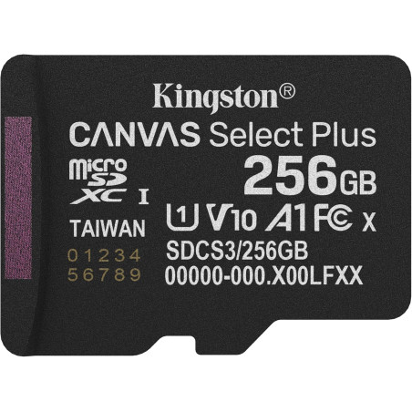 Kingston Canvas Select Plus Carte mémoire microSD 256GB micSDXC Gen3 150R A1 Adaptateur SD Non Inclus - SDCS3/256GBSP