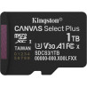 Kingston Canvas Select Plus Carte mémoire microSD 1TB micSDXC Gen3 150R A1 Adaptateur SD Non Inclus - SDCS3/1TBSP