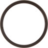 Amazon Basics Filtre polarisant Circulaire - 55mm & Filtre de Protection UV - 55mm