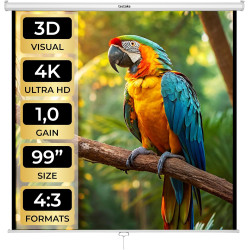 tectake® Écran de Projection 178x178cm, Toile projecteur 99" Format 1:1/16:9/4:3, Compatible HDTV et 3D, Ecran Projection Enroul