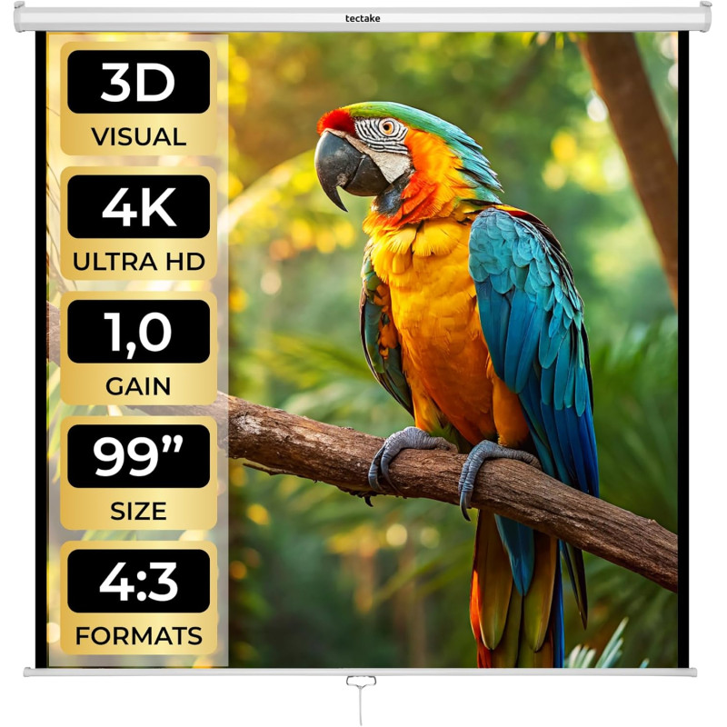 tectake® Écran de Projection 178x178cm, Toile projecteur 99" Format 1:1/16:9/4:3, Compatible HDTV et 3D, Ecran Projection Enroul