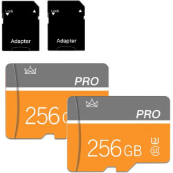 256GB Micro Memory Card Class 10 Memory Cards with Adapter Class 10 High Speed Mini TF Card for Smartphones/Camera/Tablet 2-Pack