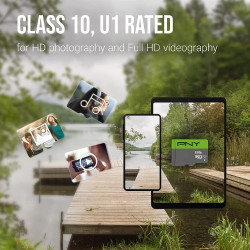 PNY Elite Carte Mémoire microSDXC 64 Go + Adaptateur SD, Vitesse de Lecture 100 Mo/s, Classe 10 UHS-I, U1 pour vidéo Full HD