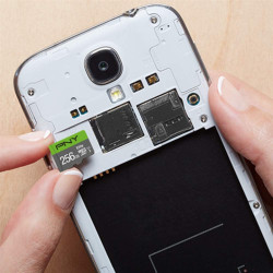 PNY Elite Carte Mémoire microSDXC 256 Go + Adaptateur SD, Vitesse de Lecture 100 Mo/s, Classe 10 UHS-I, U1 pour vidéo Full HD