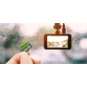 PNY Elite Carte Mémoire microSDXC 256 Go + Adaptateur SD, Vitesse de Lecture 100 Mo/s, Classe 10 UHS-I, U1 pour vidéo Full HD