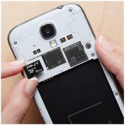 PNY Performance Plus Carte Mémoire microSDXC 64 Go, Classe 10 + Adaptateur SD