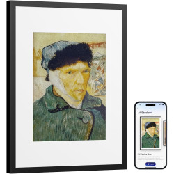SwitchBot Cadre d'art Numérique IA, 13.3'' Cadre Photo Numérique sans Câblage, Écran Électronique-Ink, Autonomie Ultra-Longue, C