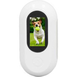 Fockety collier de caméra pour chat, caméra de collier de chien sans fil hd 1080p avec enregistrements vidéo, mini caméra corpor