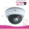 ELRO CDD15F Caméra dôme factice d'intérieur - Flash - Paquet de 2