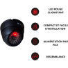 Camera factice avec LED, Camera factice