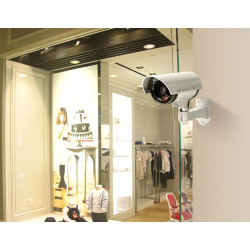 Technaxx Allemagne Caméra de sécurité dôme factice CCD Cam Intérieur Réaliste Fausse Surveillance CCTV Rouge Clignotant LED Obje