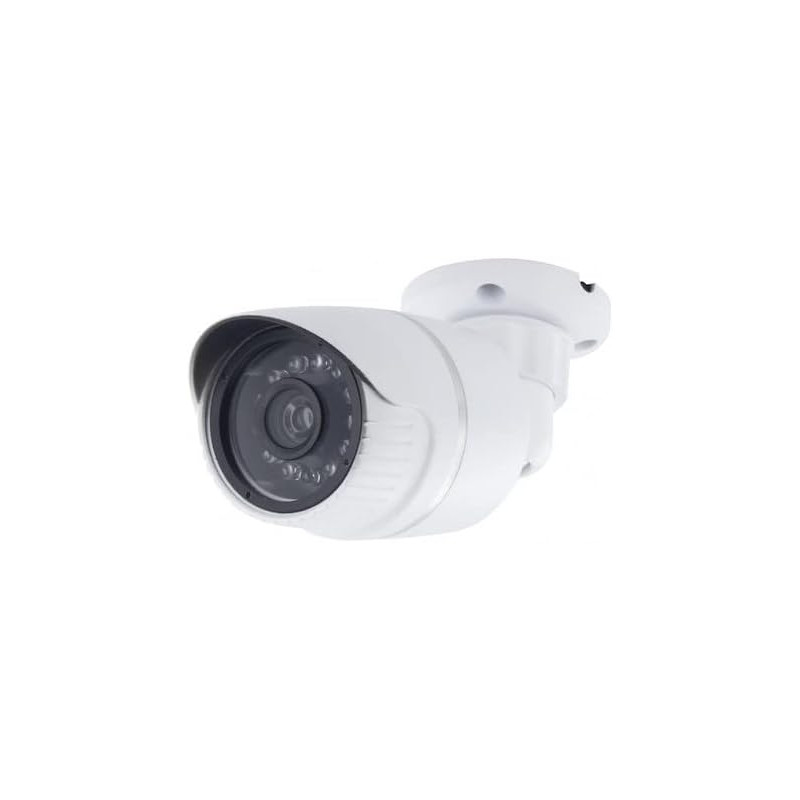 CHACON Caméra factice en Aluminium - Blanc - LED Bleue