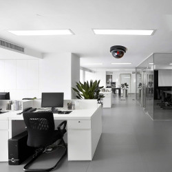 Caméras factices, Fausse de Sécurité Caméra Dôme CCTV avec LED Clignotant Lumière pour Les Entreprises Magasins Accueil, Usage I