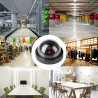 Caméras factices, Fausse de Sécurité Caméra Dôme CCTV avec LED Clignotant Lumière pour Les Entreprises Magasins Accueil, Usage I