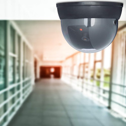 Relaxdays 10020577 Fausse Caméra Surveillance 360 Degré Lampe LED Caméra Factice, Noir