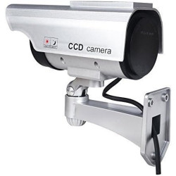 BW Lot de 2 Fausses caméras de vidéosurveillance à énergie Solaire étanches