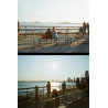 Kodak EKTAR H35N Pack Appareil Photo Demi-Cadre avec Film Kodak Ultramax 400/24EXP 35 mm (Rayures Noires)