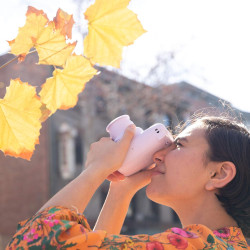Fujifilm instax Mini 11 Blush Rose