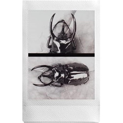 instax Mini Appareil Photo Hybride numérique Instax Evo Noir