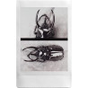 instax Mini Appareil Photo Hybride numérique Instax Evo Noir