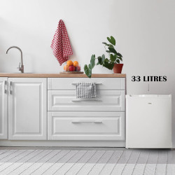 PRIMO PR146DV Mini congélateur - Petit congélateur - Indépendant - 33L - D - Blanc