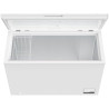 PKM GT300E Congélateur/Capacité 299 litres / 41 dB/Double mode : réfrigérateur et congélation/Avec panier métallique supplémenta